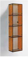 Stylish Glass Cabinet Shelf for Office Living Bathroom Shower Rack Display Unit